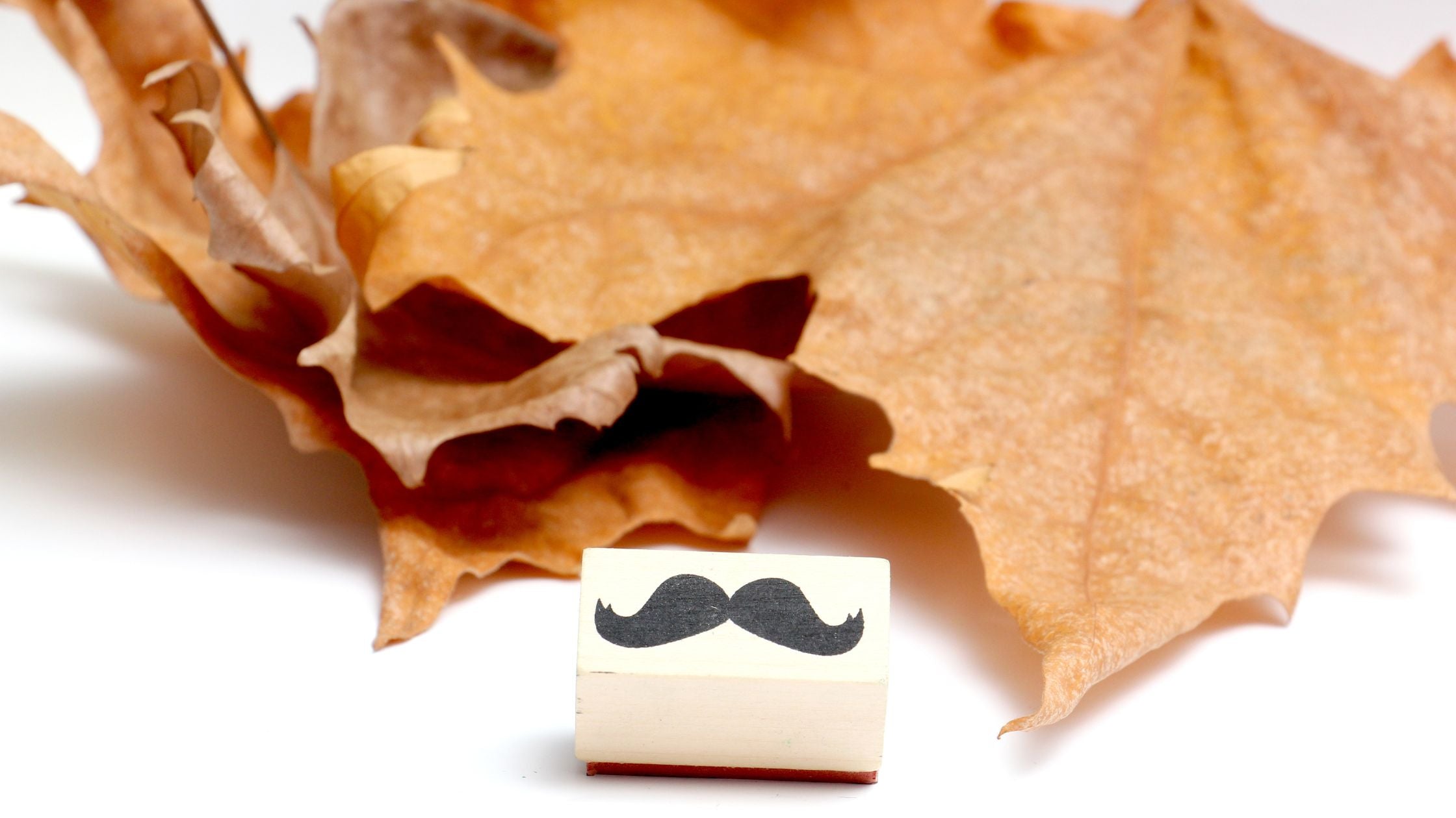 What Is Movember: Unveiling the Significance Behind the Month of Facial Fuzz