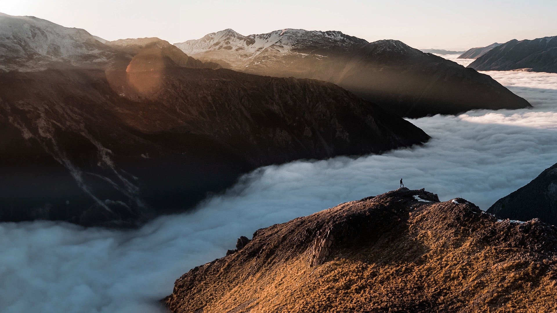 SV-HOMEPAGE-CONCEPT_847d898b-b90a-42fc-8771-5d3dbf6efcbf.webp