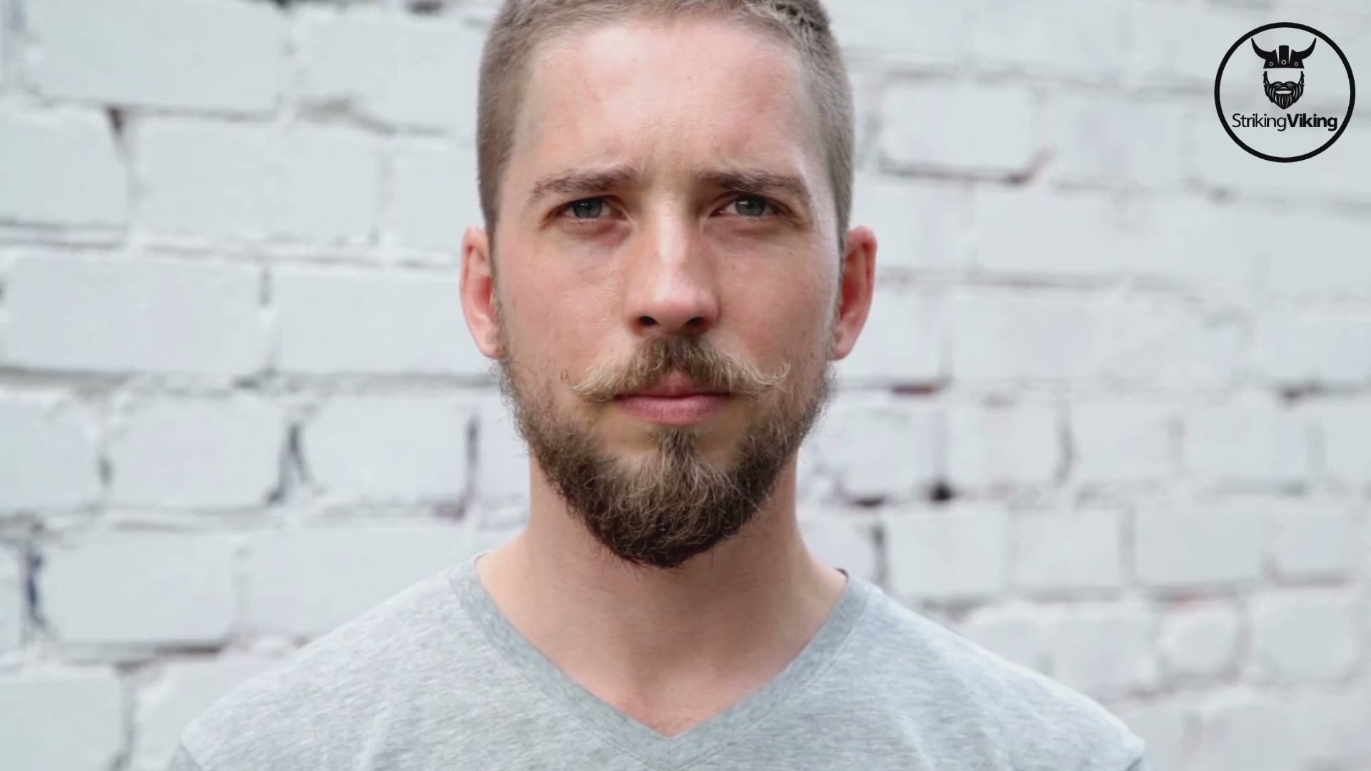 Striking Viking Mustache Wax and Comb Kit